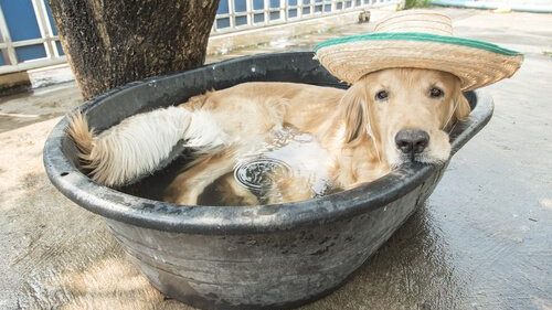 When Air Conditioning Just Won’t Cut It: A Few Natural Ways to Keep Cool in Summer