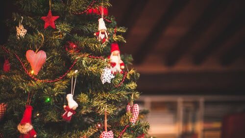How to Keep Your Christmas Tree Looking Lively