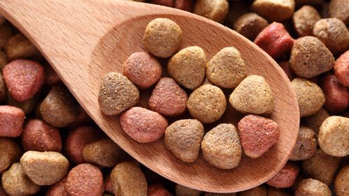 Do You Know What’s in Fido’s Food?