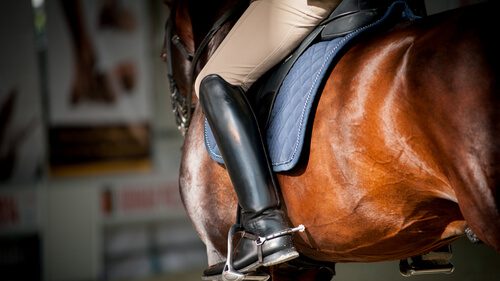 Summer Survival Tips for Equestrians